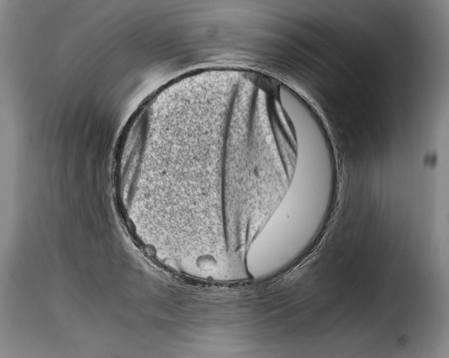 X0000115371085200911241235