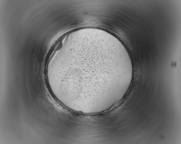 X0000115371086200911241235