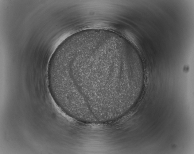 X0000115371087200911241235