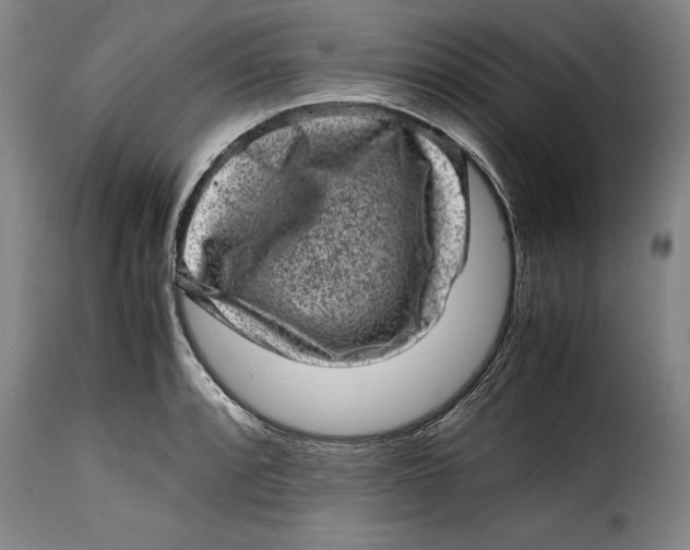X0000115371088200911241235