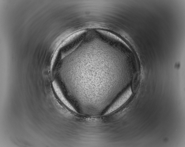 X0000115371089200911241235