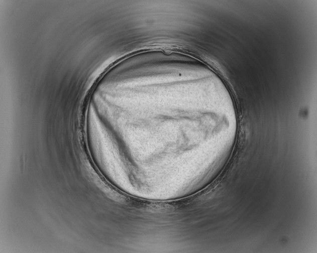 X0000115371091200911241235