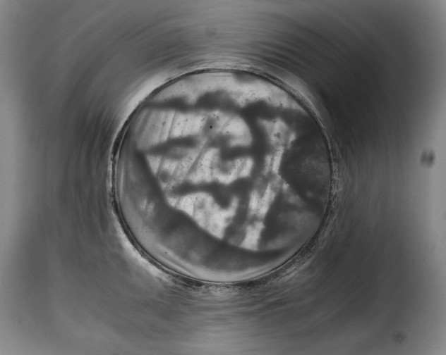 X0000115371095200911241235