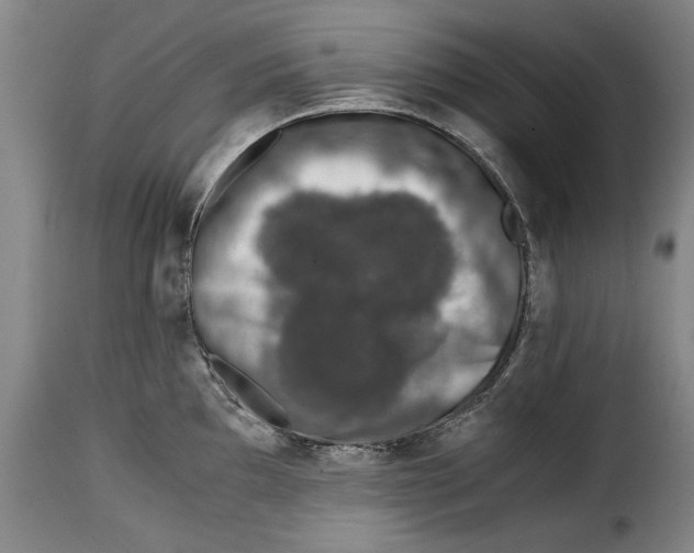 X0000115371097200911241234