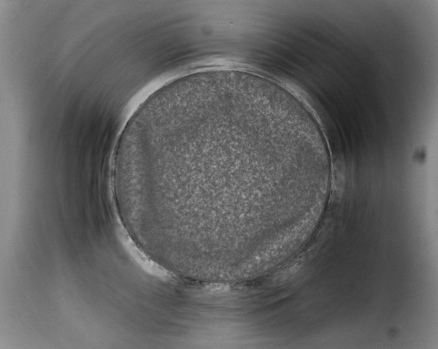 X0000115371098200911241234
