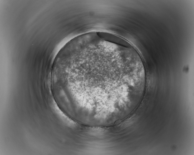 X0000115371100200911241234