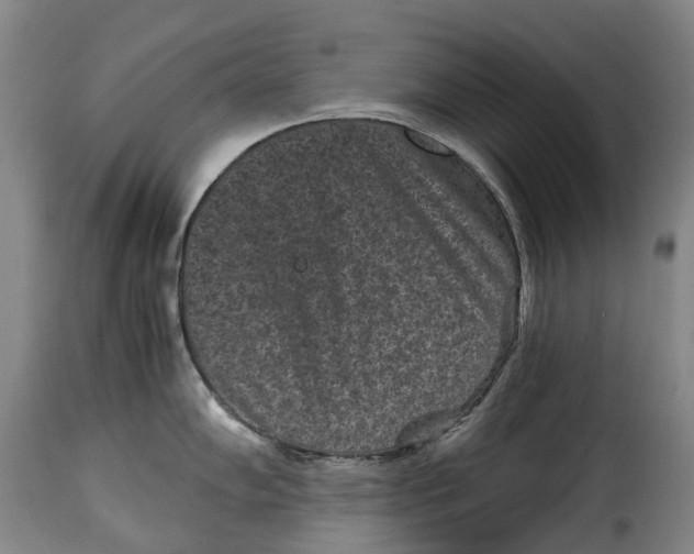 X0000115371102200911241234