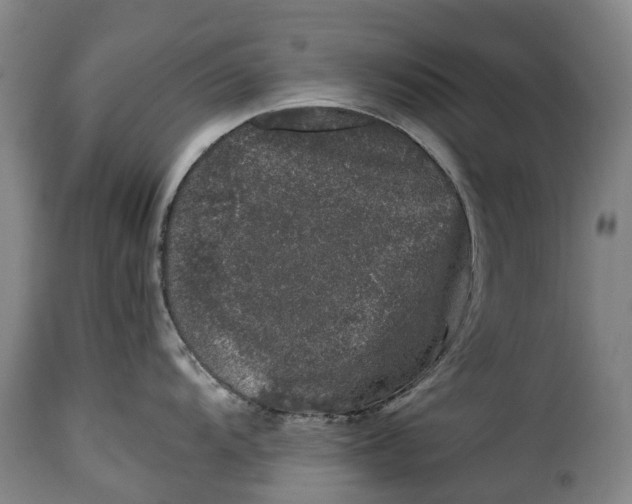 X0000115371104200911241234