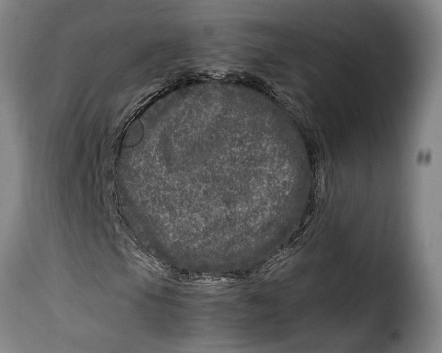 X0000115371105200911241234