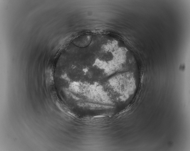 X0000115371106200911241234
