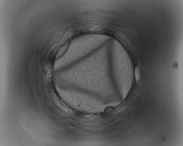 X0000115371107200911241234