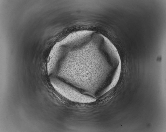 X0000115371109200911241234