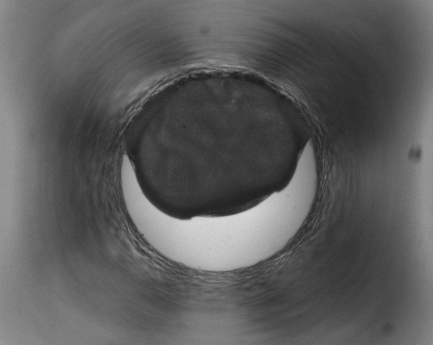 X0000115371110200911241234