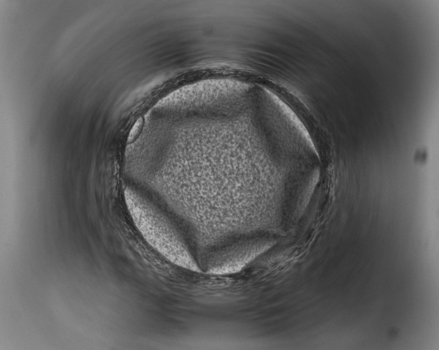 X0000115371111200911241234