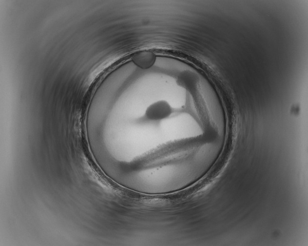 X0000115371113200911241234
