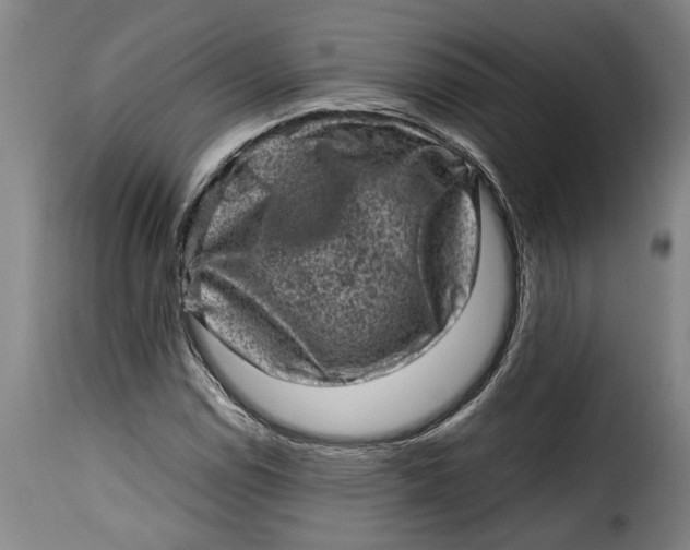 X0000115371114200911241234