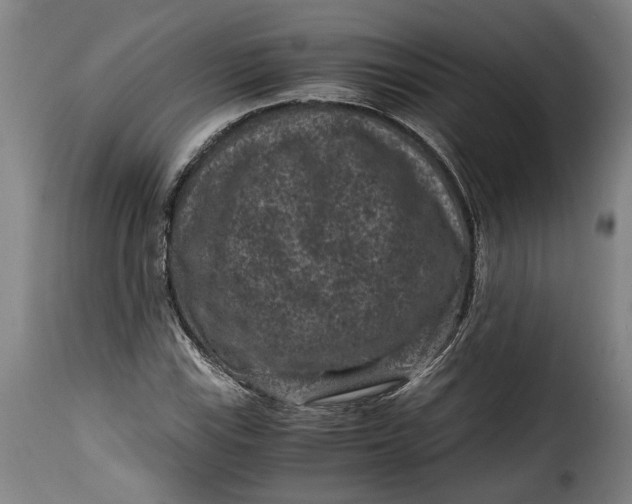 X0000115371115200911241234