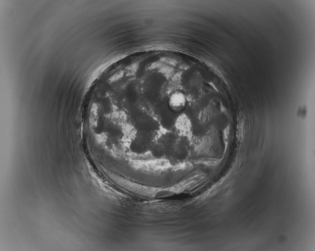 X0000115371117200911241234