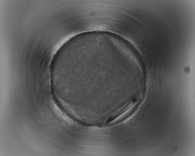 X0000115371118200911241234