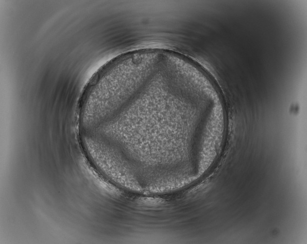 X0000115371119200911241234