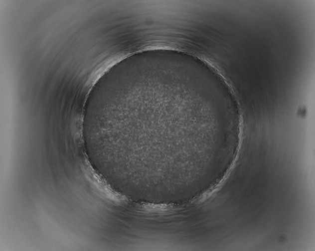 X0000115371121200911241234