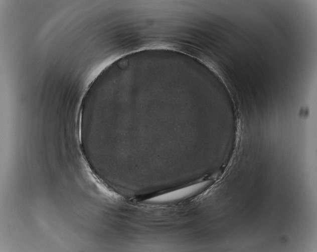 X0000115371127200911241234