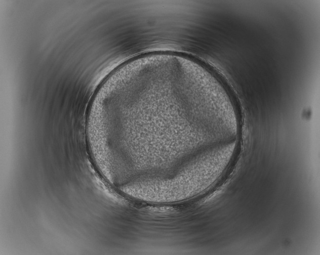 X0000115371129200911241234