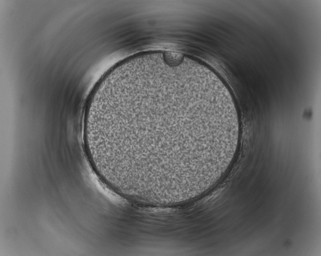 X0000115371131200911241234
