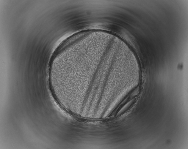 X0000115371133200911241234