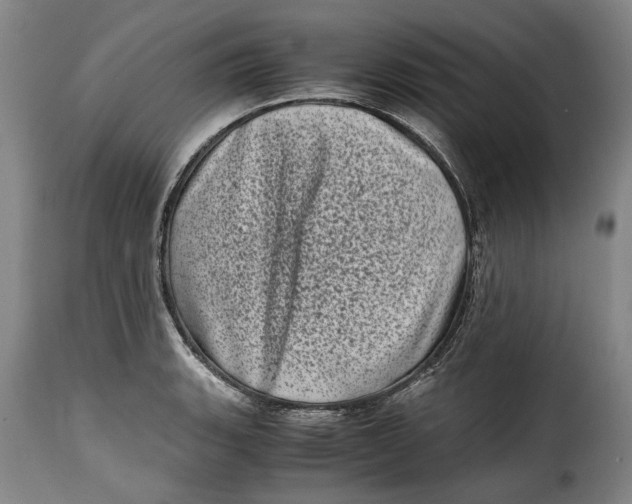 X0000115371135200911241234