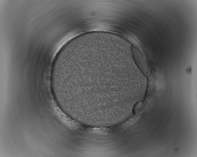 X0000115371138200911241234