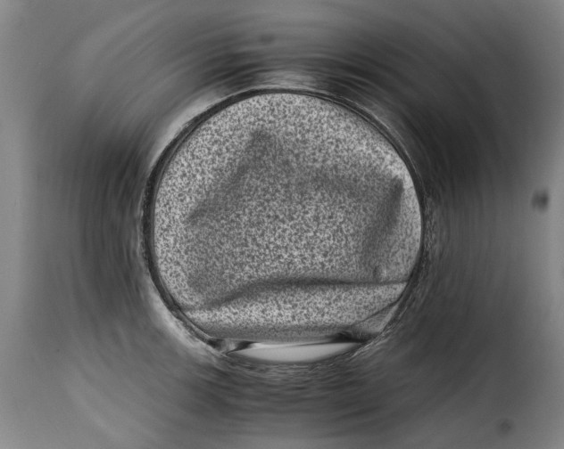 X0000115371139200911241234