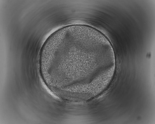 X0000115371142200911241234