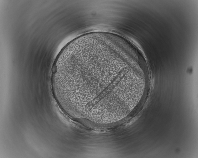 X0000115371146200911241234