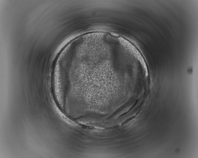 X0000115371147200911241234
