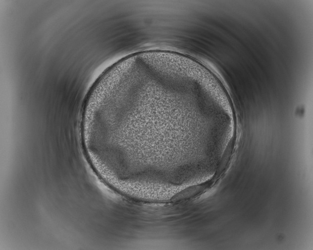 X0000115371149200911241234