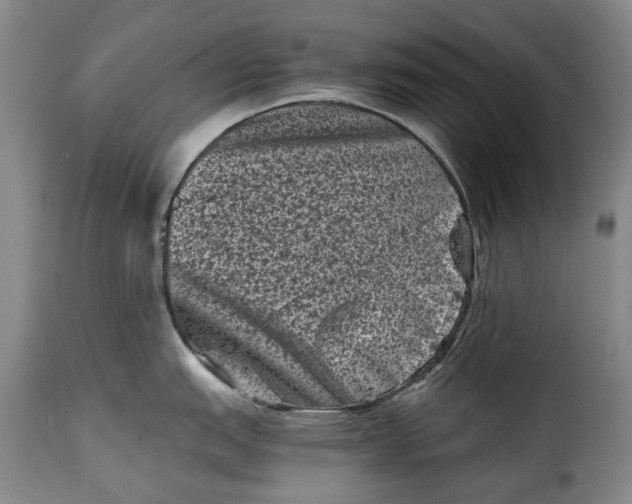 X0000115371151200911241234