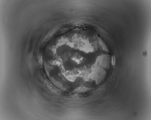 X0000115371155200911241234