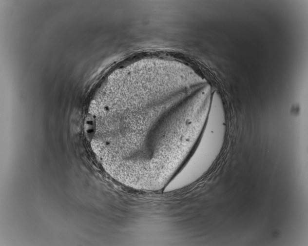 X0000115371157200911241233
