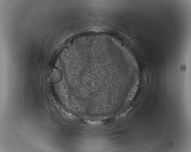 X0000115371158200911241233
