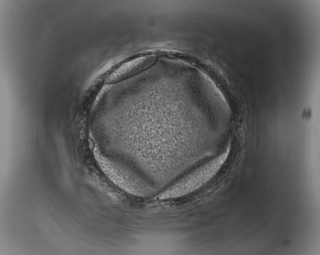 X0000115371159200911241233