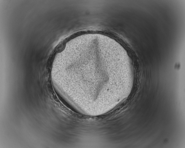 X0000115371160200911241233