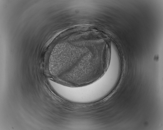 X0000115371161200911241233