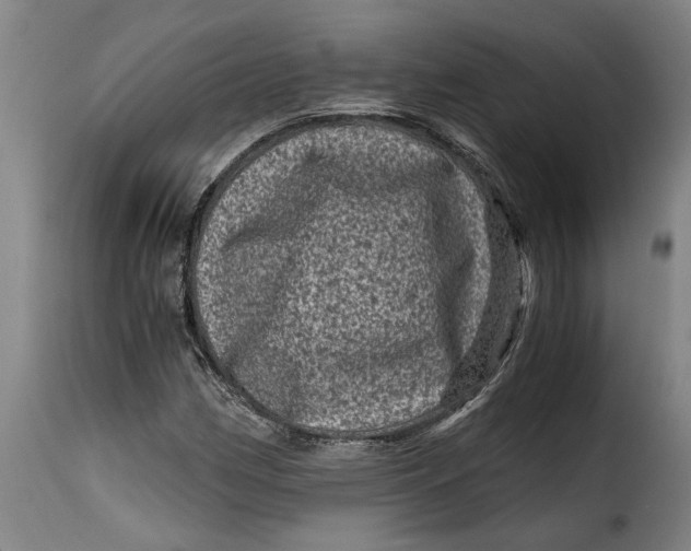 X0000115371162200911241233