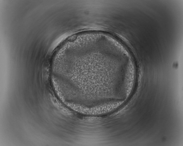 X0000115371163200911241233