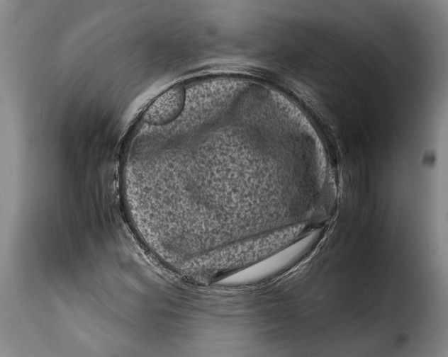 X0000115371164200911241233