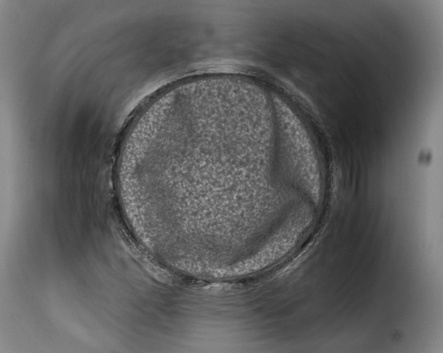 X0000115371166200911241233