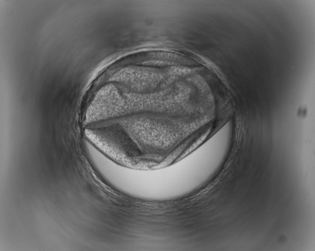 X0000115371168200911241233