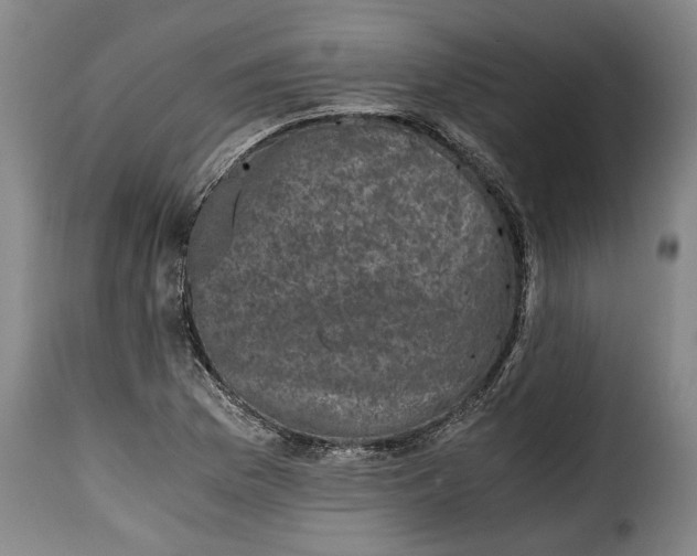 X0000115371169200911241233