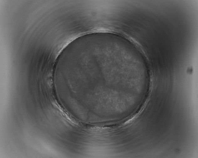 X0000115371170200911241233